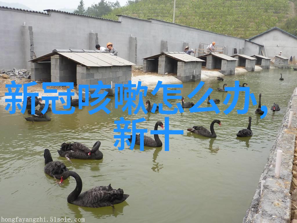 1500名研究生应聘卖猪肉 8人不堪压力放弃