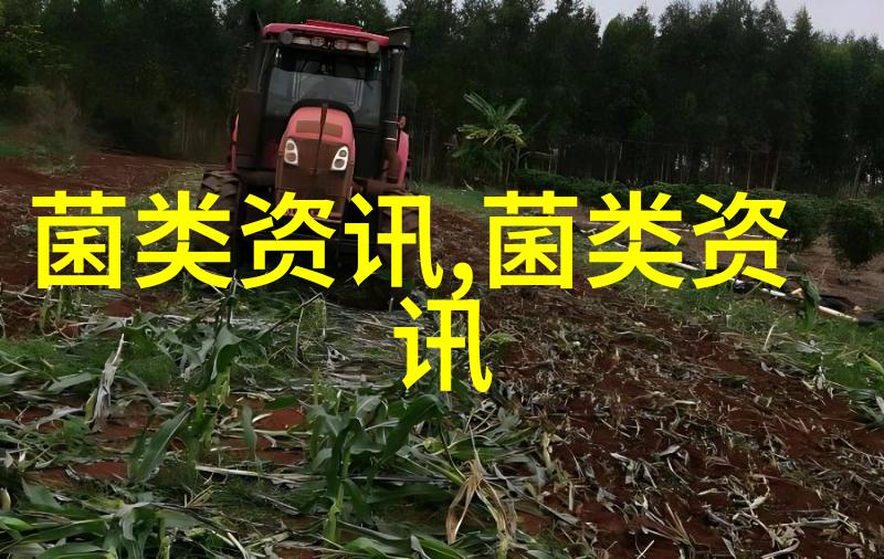 养猪新法离地笼养子猪